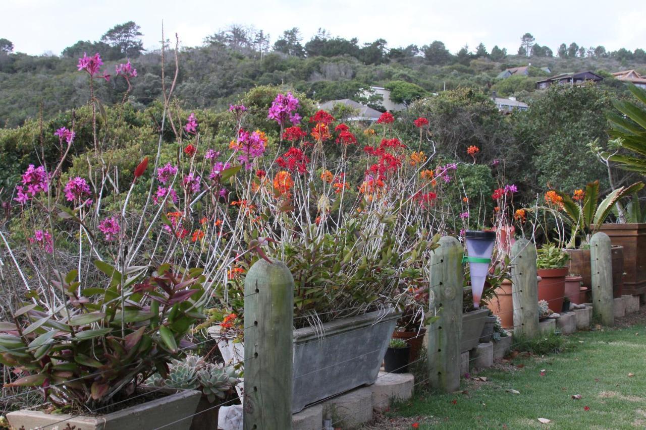 Imperani Apartment Plettenberg Bay Ngoại thất bức ảnh